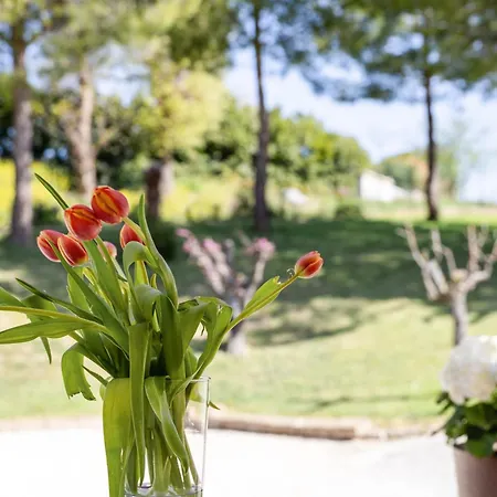 Affittacamere La Casa Sotto Il Colle - Recanati