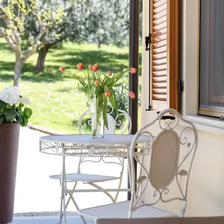 La Casa Sotto Il Colle