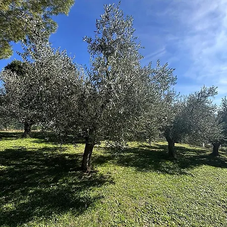 La Casa Sotto Il Colle - Recanati